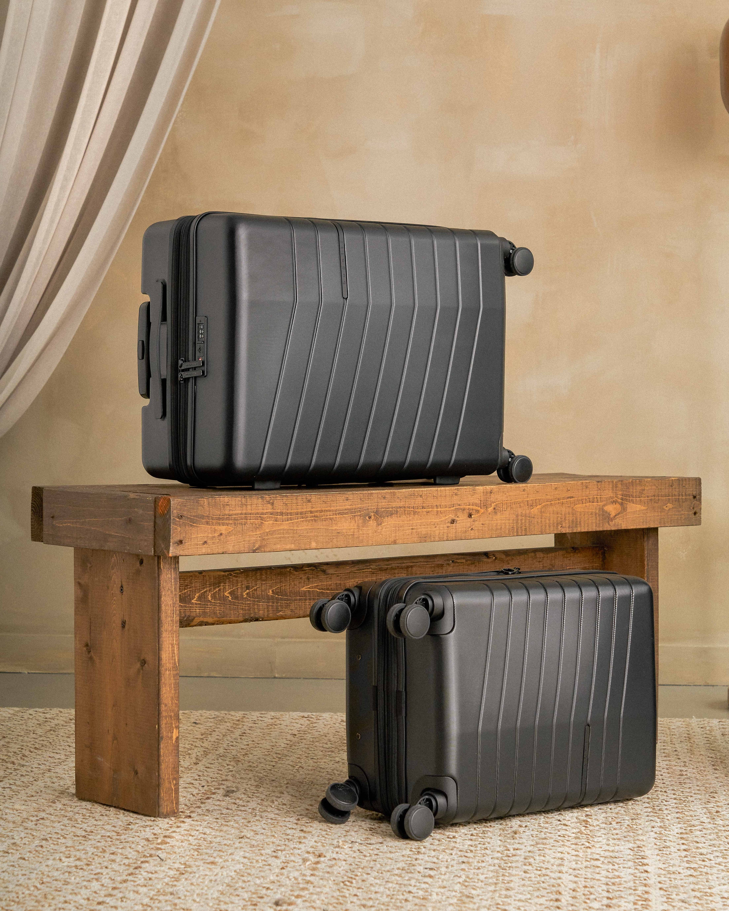 Checked Luggage