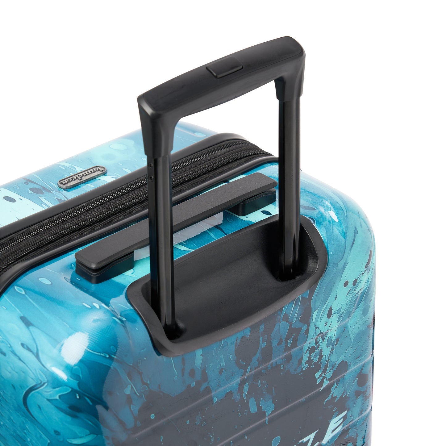 Customizable Carry-on